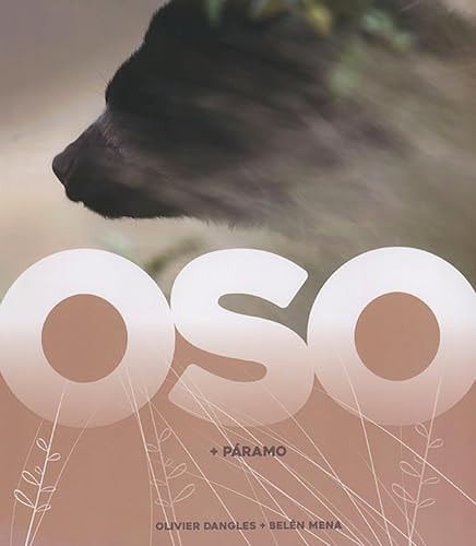 Oso: + Páramo