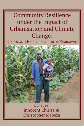 Community Resilience under the Impact of