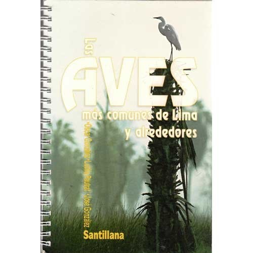 Las Aves Mas Comunes de Lima y Alrededores
