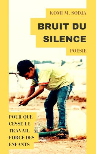 BRUIT DU SILENCE (French Edition)