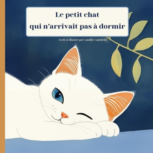 Le petit chat qui n’arrivait pas à dormir: Livre illustré pour enfant de 2ans à 6ans, histoire du soir pour bébé, album de jeunesse sur ... enfants, texte en français (French Edition)