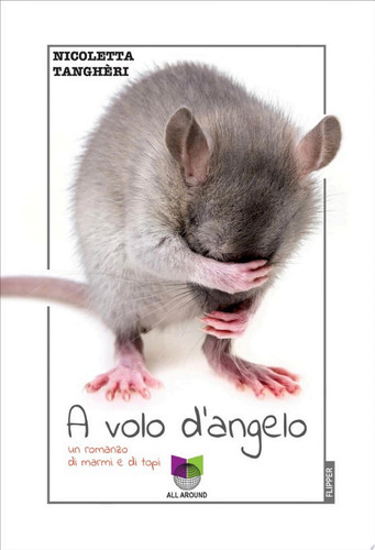 A volo d'angelo Un romanzo di marmi e di topi