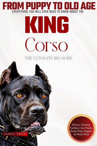 The Ultimate Cane Corso Big Guide Everything You Will Ever Need To Know About The Cane Corso