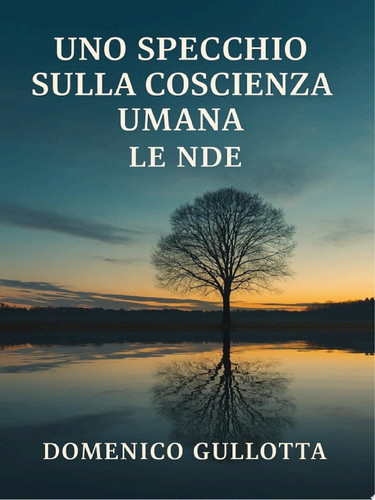 Uno Specchio Sulla Coscienza Umana LE NDE Viaggio tra Scienza e Anima