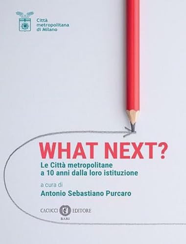 What Next? Le città metropolitane a 10 anni dalla loro istituzione