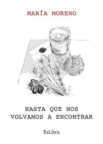 Hasta que nos volvamos a encontrar