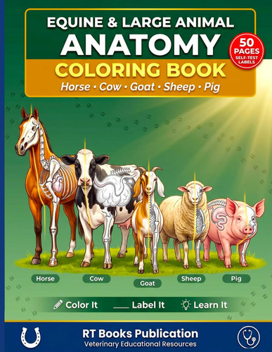 Equine and Large Animal Anatomy Coloring Book: Incredibly Detailed Self-Test Horse Cow Goat Sheep and Pig Anatomy Workbook with 50 Coloring Pages for ... Equestrians and NAVLE VTNE Exam Preparation