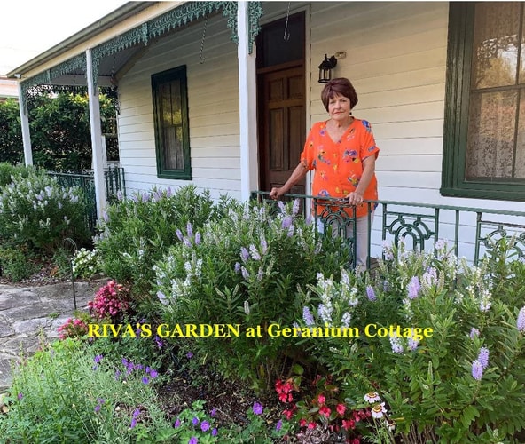 RIVA'S GARDEN at Geranium Cottage