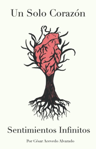 Un solo corazón, sentimientos infinitos: Poemario sobre mis más íntimas letras acerca del romance y la sociedad (Spanish Edition)