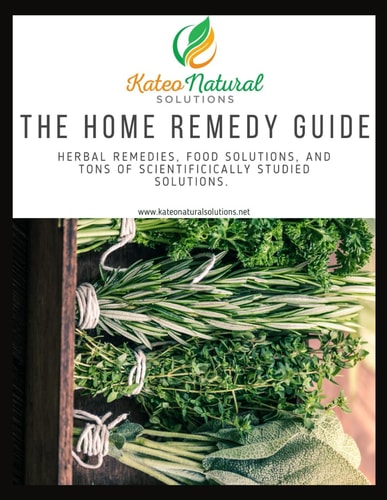 The Home Remedy Guide: A Combination of Scientific Research and Traditional Herbalism for Common Problems