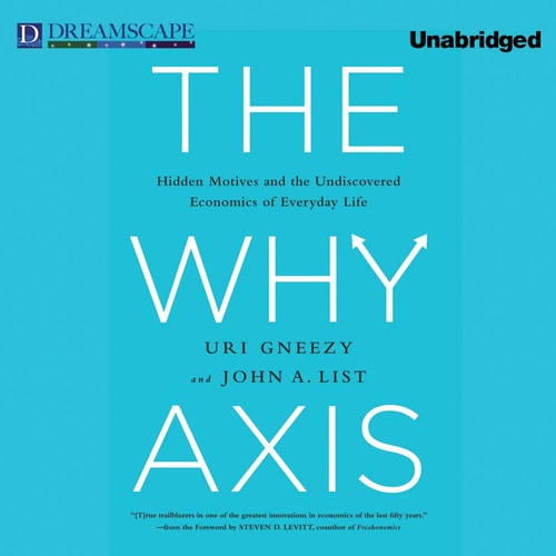 The Why Axis: Hidden Motives and the Undiscovered Economics of E