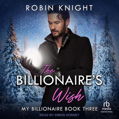 The Billionaire's Wish (My Billionaire)