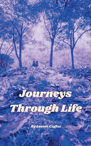 Journeys Through Life