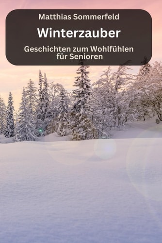 Winterzauber - Geschichten für Senioren zum Wohlfühlen: große Schrift und gut verständlich geschrieben (German Edition)