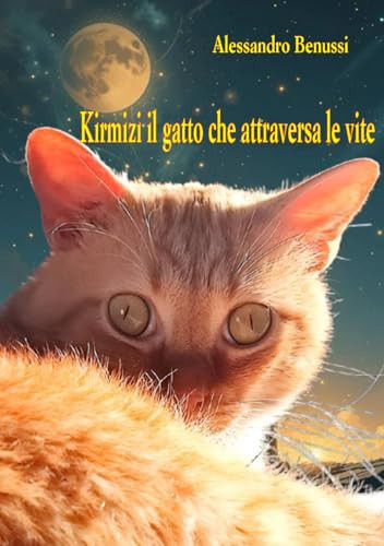 Kirmizi il gatto che attraversa le vite (Italian Edition)