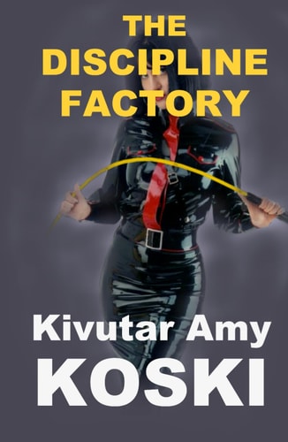 THE DISCIPLINE FACTORY