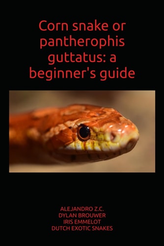 Corn Snake (Pantherophis guttatus): A Beginner's Guide