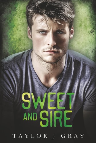 SWEET AND SIRE (STREETBOYS SERIES)