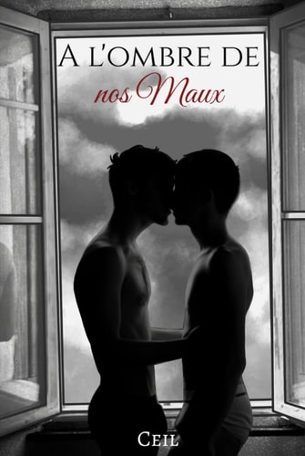 A L'Ombre de nos Maux (French Edition)