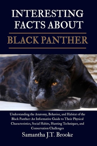 Interesting Facts Black Panther - Understanding the Anatomy, Behavior, and Habitat of the Black Panther: An Informative Guide to Their Physical Characteristics, Social Habits, Hunting Techniques, and Conservation Challenges