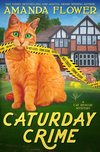 Caturday Crime