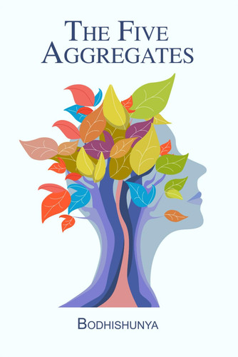 The Five Aggregates: Unpacking the Illusion of Self (The Five Aggregates Series)