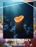 Sponge Animal's Life Photo Book Explore The Vibrant Underwater World With 40 Stunning Images Of Unique Sponge Creatures