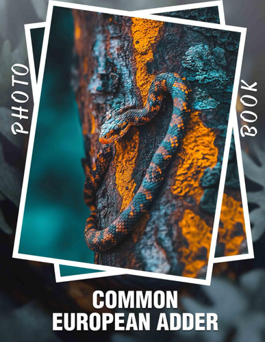 Common European Adder Photo Book - Explore 40 Stunning Images of Europe's Iconic Snake Species for Nature Enthusiasts