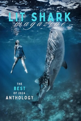Lit Shark's Best Of 2024 Anthology