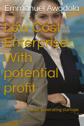 Low Cost Enterprise With Potential Profit - Profit-generating Startups