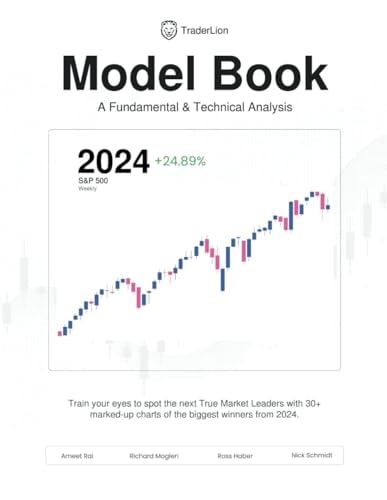 2024 TraderLion Model: A fundamental and technical analysis