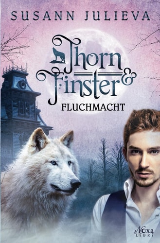Thorn & Finster: Fluchmacht (German Edition)