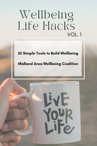 Wellbeing Life Hacks: Volume 1 (Weekly Wellbeing Life Hacks)
