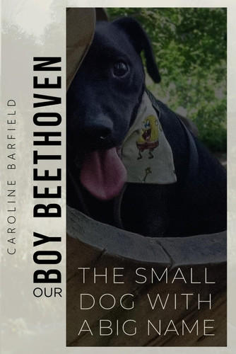 OUR BOY BEETHOVEN - The Small Dog with a Big Name