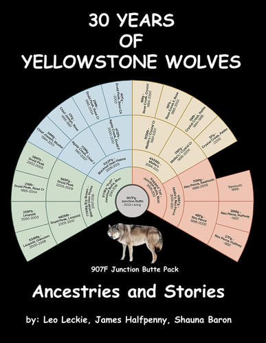 30 YEARS OF YELLOWSTONE WOLVES: Ancestries and Stories
