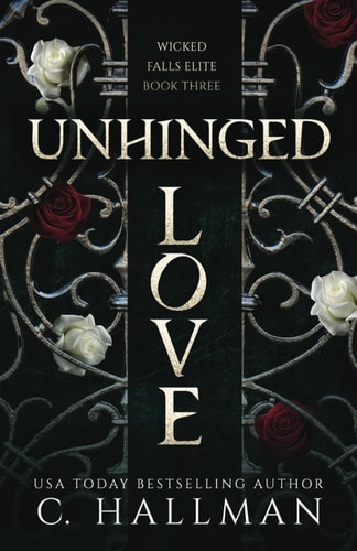 Unhinged Love: A Dark Bully Romance