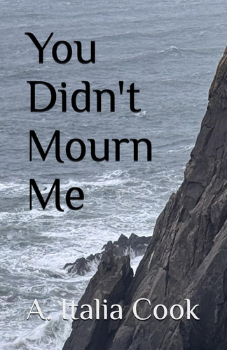 YOU DIDN'T MOURN ME.