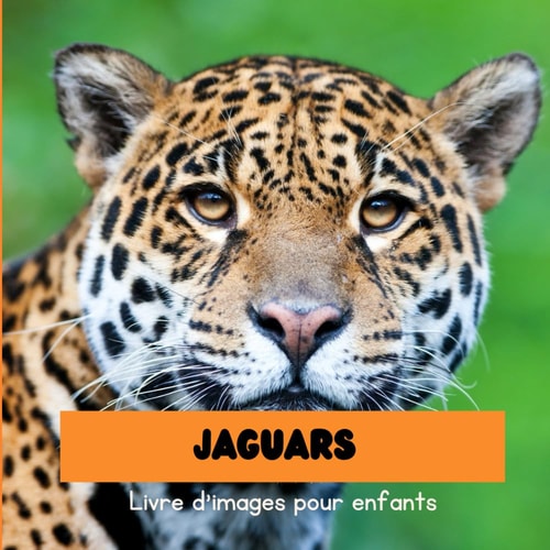 Jaguars: Livre d'images pour enfants (French Edition)