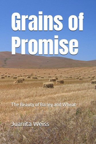 Grains of Promise: The Beauty of Barley and Wheat