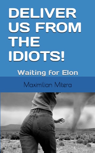Deliver Us from the Idiots! - Waiting for Elon