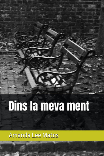 Dins la meva ment
