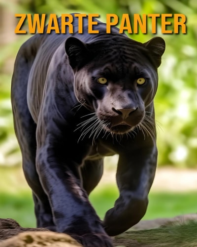 Zwarte Panter - Dierenboeken Voor Kinderen