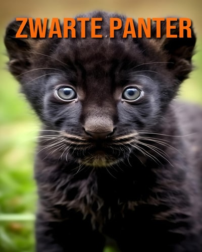 Zwarte Panter - Een Prentenboek met Leuke Feiten over de Zwarte Panter