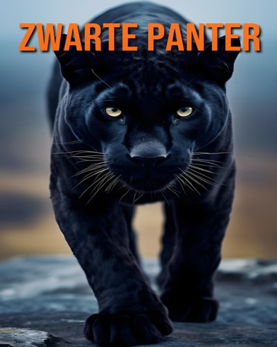 Zwarte Panter - Leuke Feiten en Afbeeldingen Over Zwarte Panter