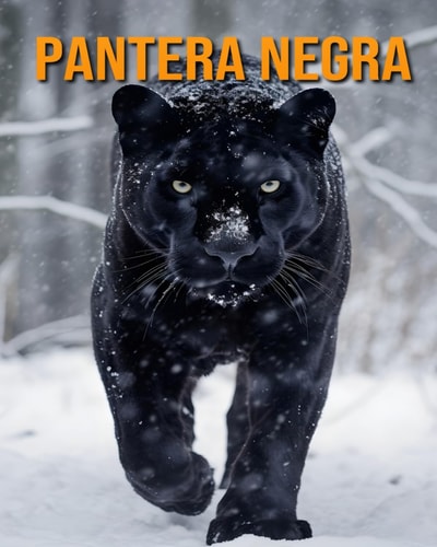 Pantera Negra - Incríveis Curiosidades e Fotos da Pantera Negra