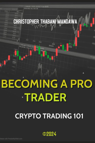 Becoming A Pro Trader Crypto Trading 101