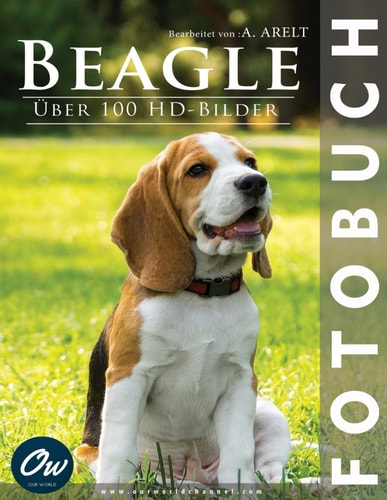 Beagle - Fotobuch - Über 100 HD-Bilder