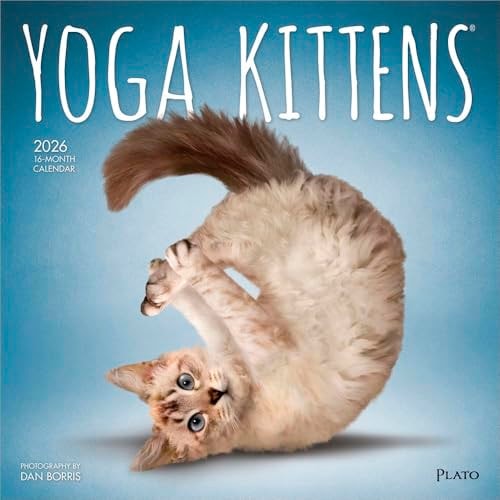 Yoga Kittens 2026 Square Wall Calendar