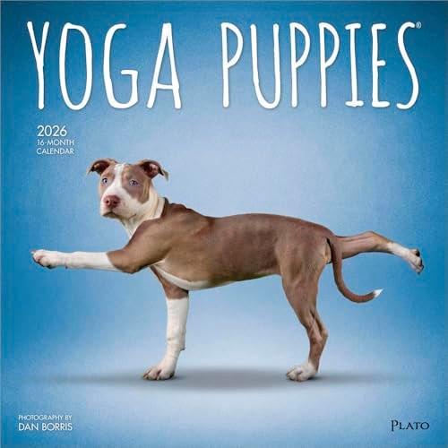 Yoga Puppies 2026 Square