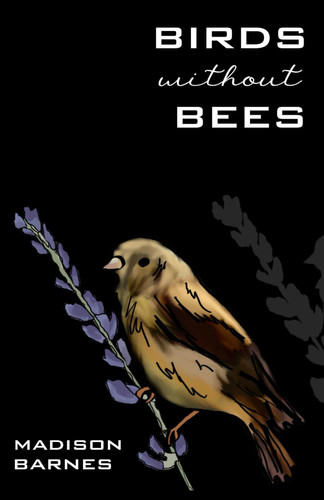 Birds Without Bees